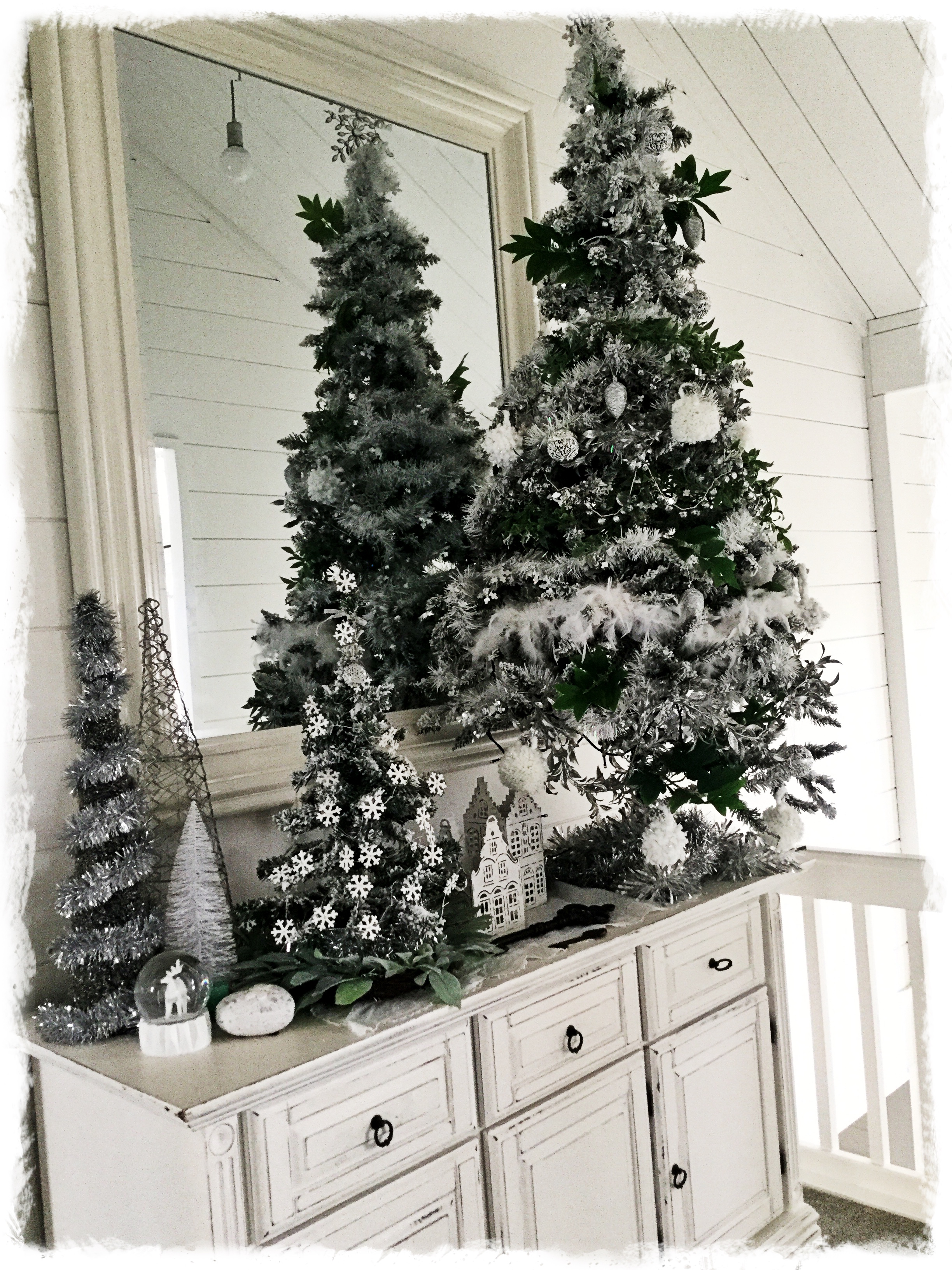 6DF50032-C77B-49E3-93F9-5F9211A5DEB2